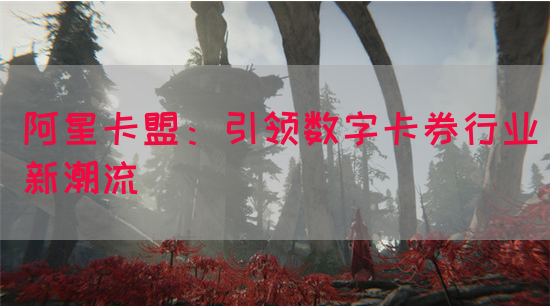 阿星卡盟：引领数字卡券行业新潮流