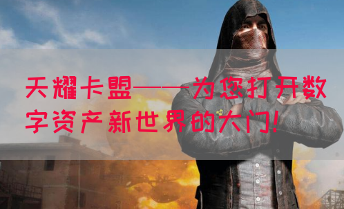 天耀卡盟——为您打开数字资产新世界的大门！
