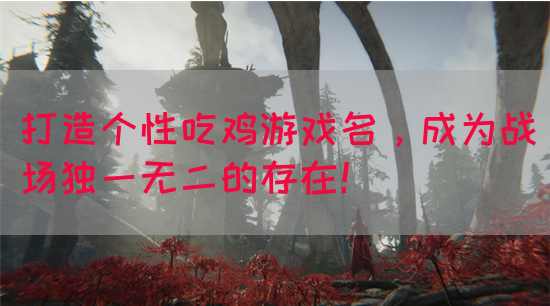 打造个性吃鸡游戏名，成为战场独一无二的存在！