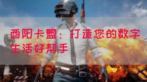 酉阳卡盟：打造您的数字生活好帮手