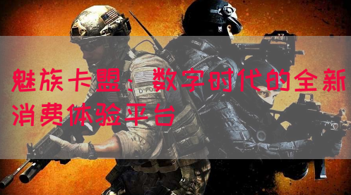 魅族卡盟：数字时代的全新消费体验平台