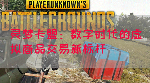 灵梦卡盟：数字时代的虚拟商品交易新标杆