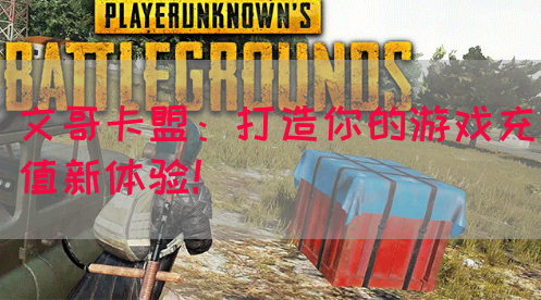 文哥卡盟：打造你的游戏充值新体验！