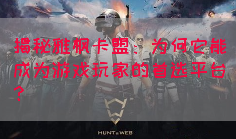 揭秘雅枫卡盟：为何它能成为游戏玩家的首选平台？