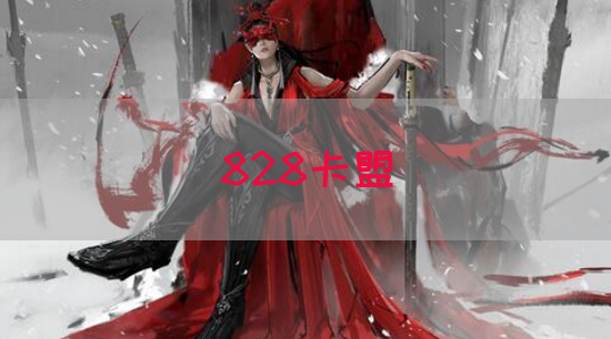 828卡盟