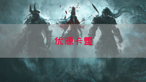 优源卡盟