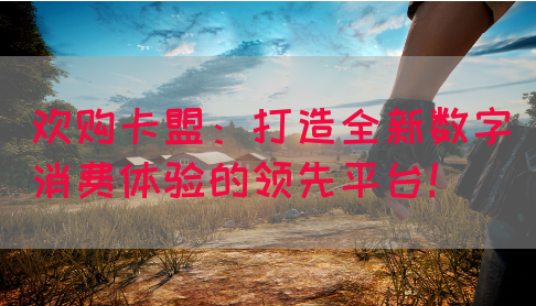 欢购卡盟：打造全新数字消费体验的领先平台！