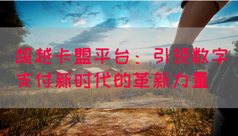超越卡盟平台：引领数字支付新时代的革新力量