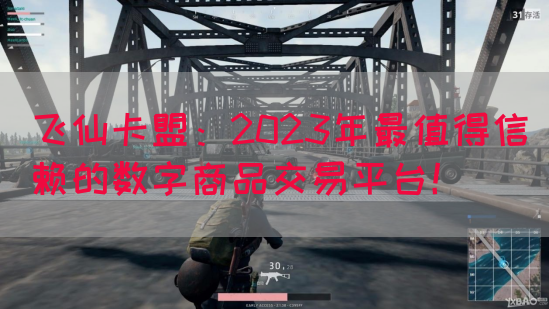 飞仙卡盟：2023年最值得信赖的数字商品交易平台！