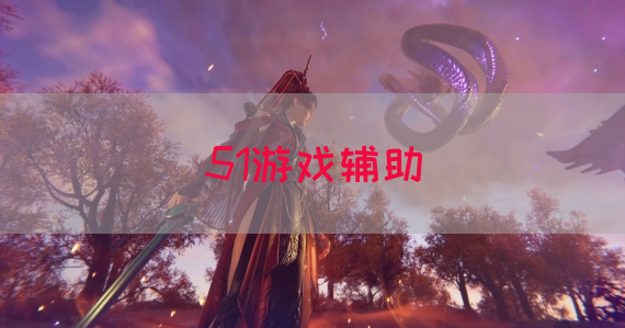 51游戏辅助
