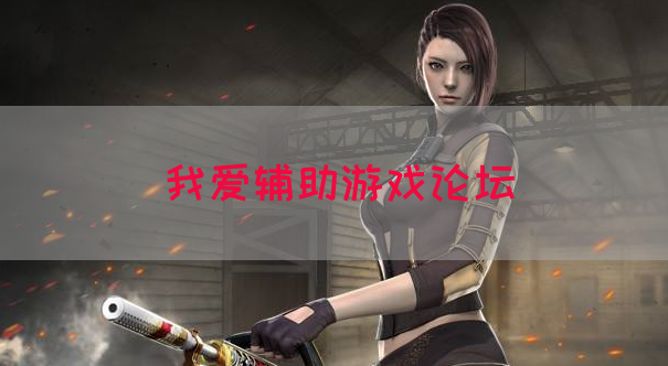 我爱辅助游戏论坛