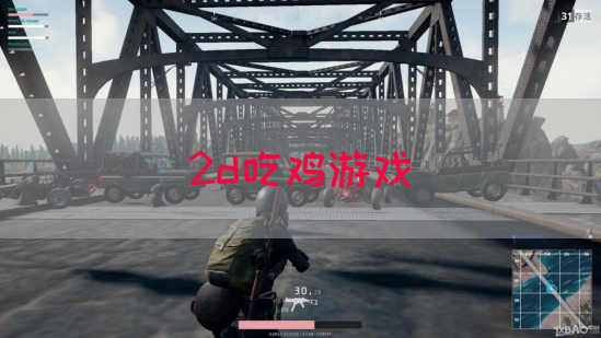 2d吃鸡游戏