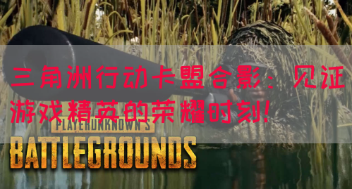 三角洲行动卡盟合影：见证游戏精英的荣耀时刻！