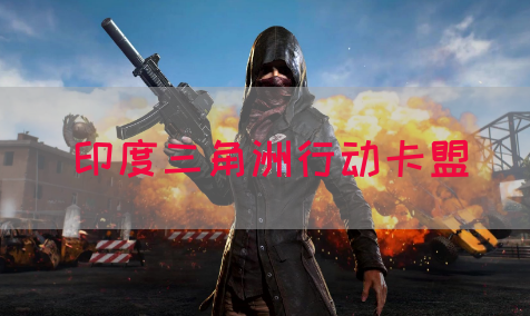 印度三角洲行动卡盟